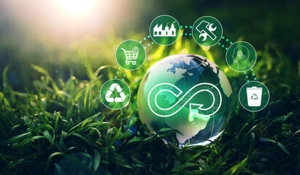 L'&eacute;conomie circulaire dans la loi de transition &eacute;nerg&eacute;tique pour la croissance verte